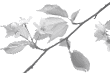 �Ǒf��