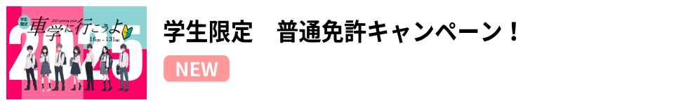 2025�w���L�����y�[��