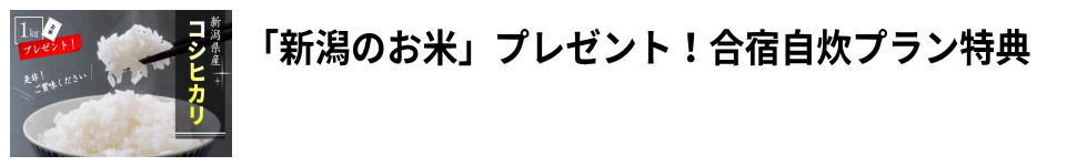 ���ăv���[���g