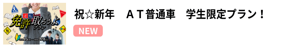 �V�N�w���v����